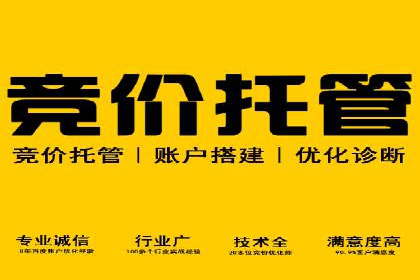 谷歌SEM实战案例：利用广告系列优化效果